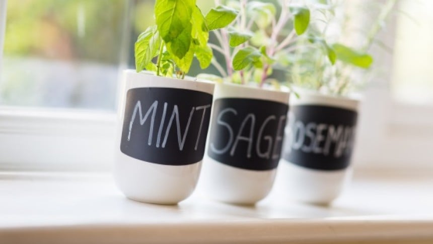 Avery Create Your Own Chalkboard Labels