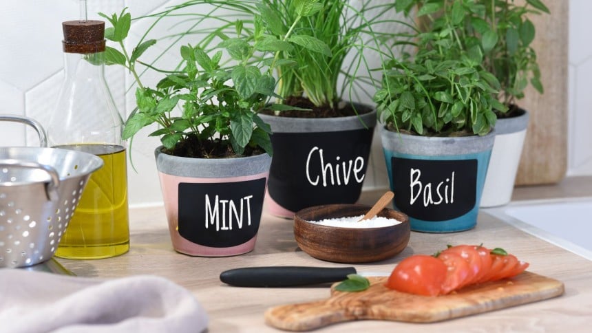 Family Chalkboard Labels
