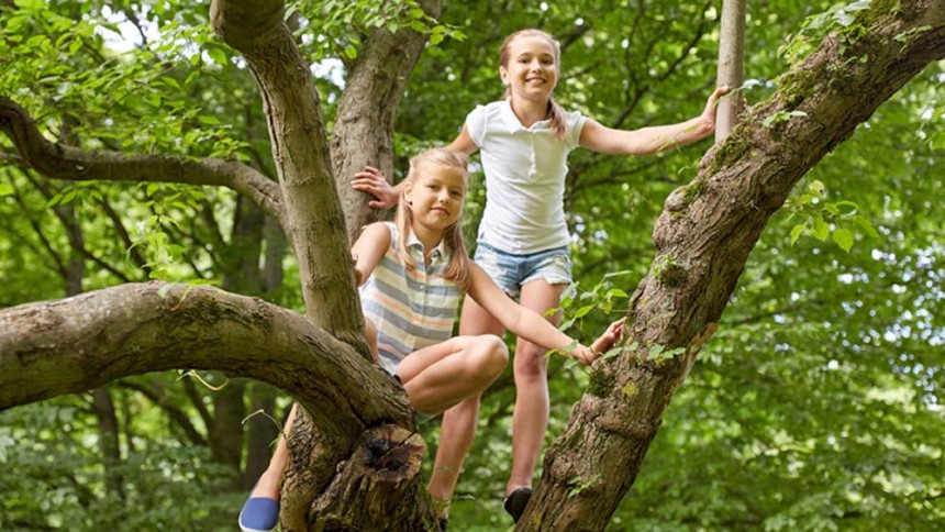 forest school