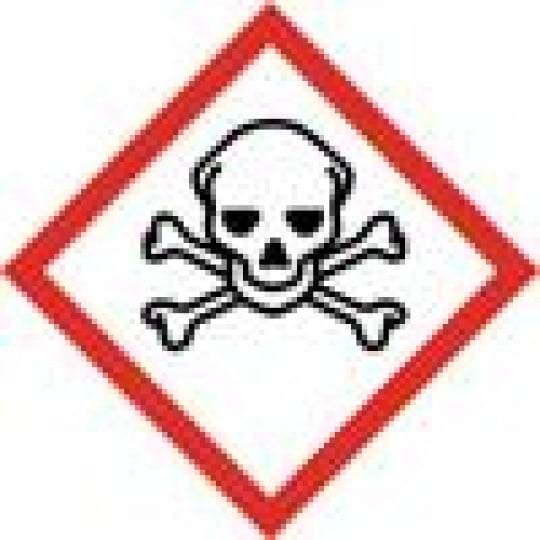 Skull and Crossbones