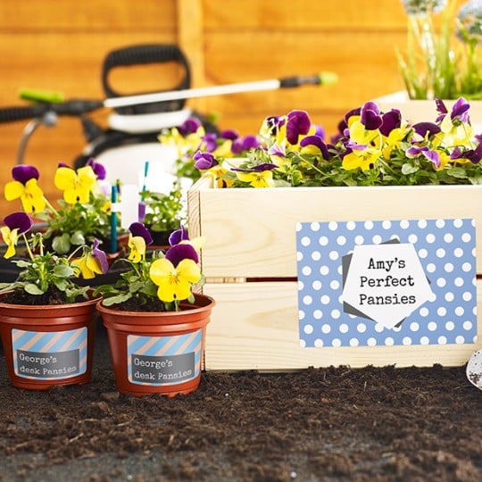 hero_labels_home organisation labels_outdoor garden_apr17