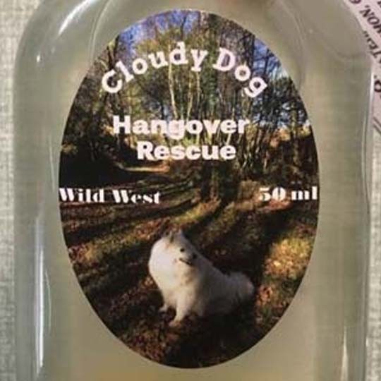 material paper oval cloudy dog drink