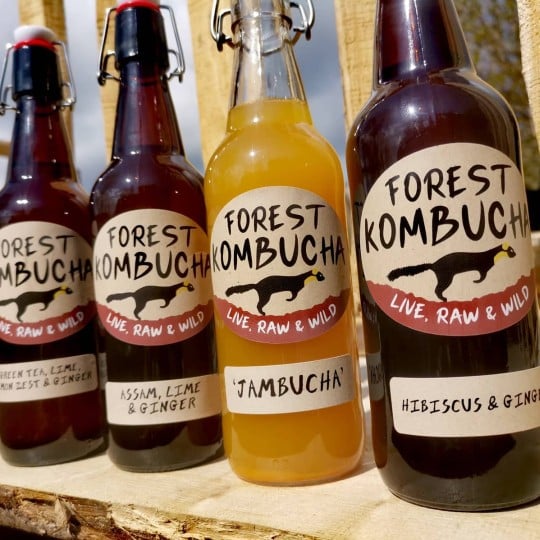 Forest Kombucha label oval printed by Avery