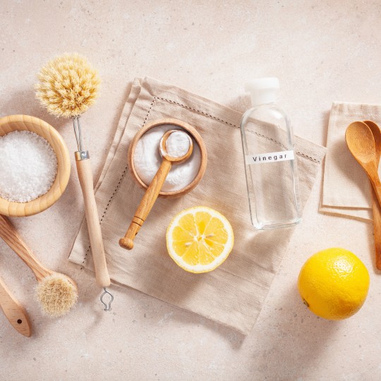 Green blog Lemon Cleaning eco recycle