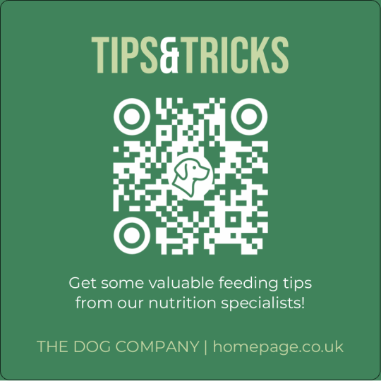 Tips & Tricks 76 x 51 mm rectangular