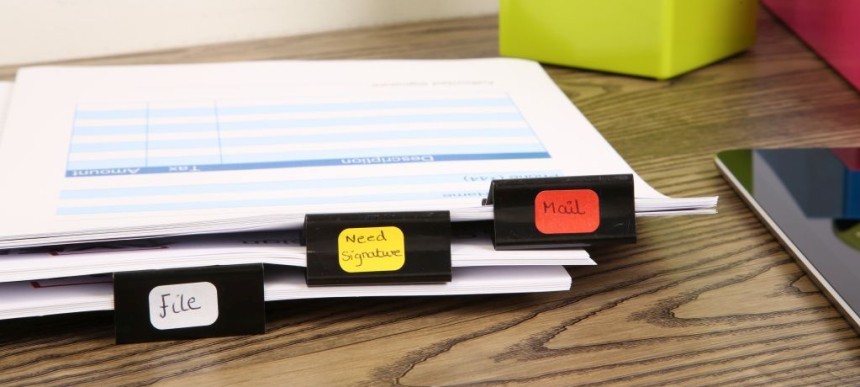 bulldogs on paperwork