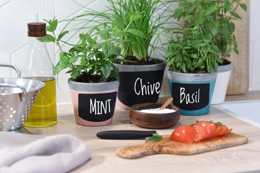 Family Chalkboard Labels