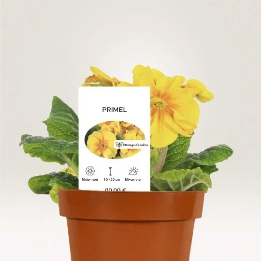 Large white plastic plant label marker in a pot
