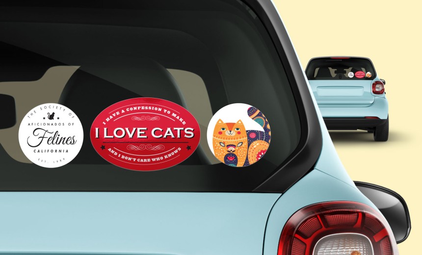 Car window sticker