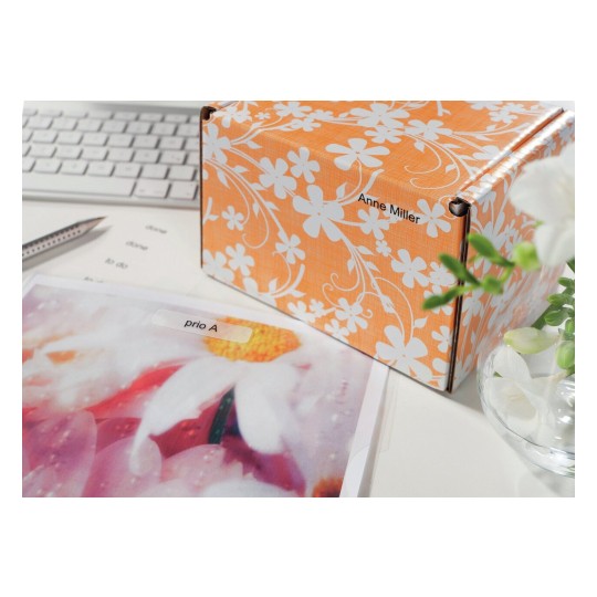 Organising Filing Mini clear Desk personal Appl1