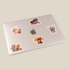 photo stickers on a laptop