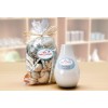 The image features a decorative gift bag containing various natural items like seashells and twigs, alongside a white vase labeled 'Deco House' indicating it's for decorative items and gifts.